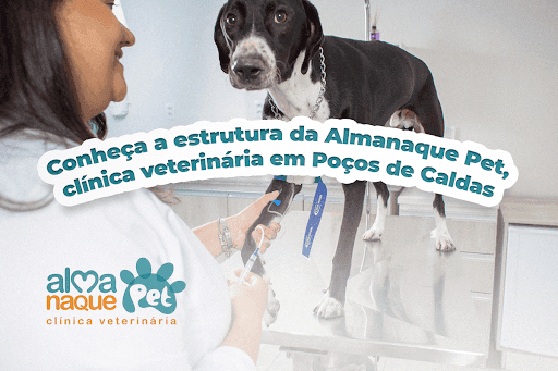 Conheça a estrutura da Almanaque Pet, clínica veterinária em Poços de Caldas