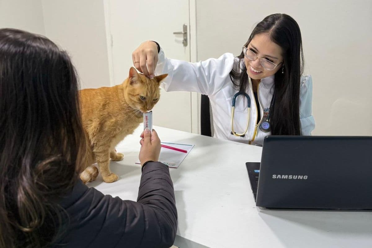 Check-up veterinário: cuide da saúde do seu pet antes que ele precise de socorro