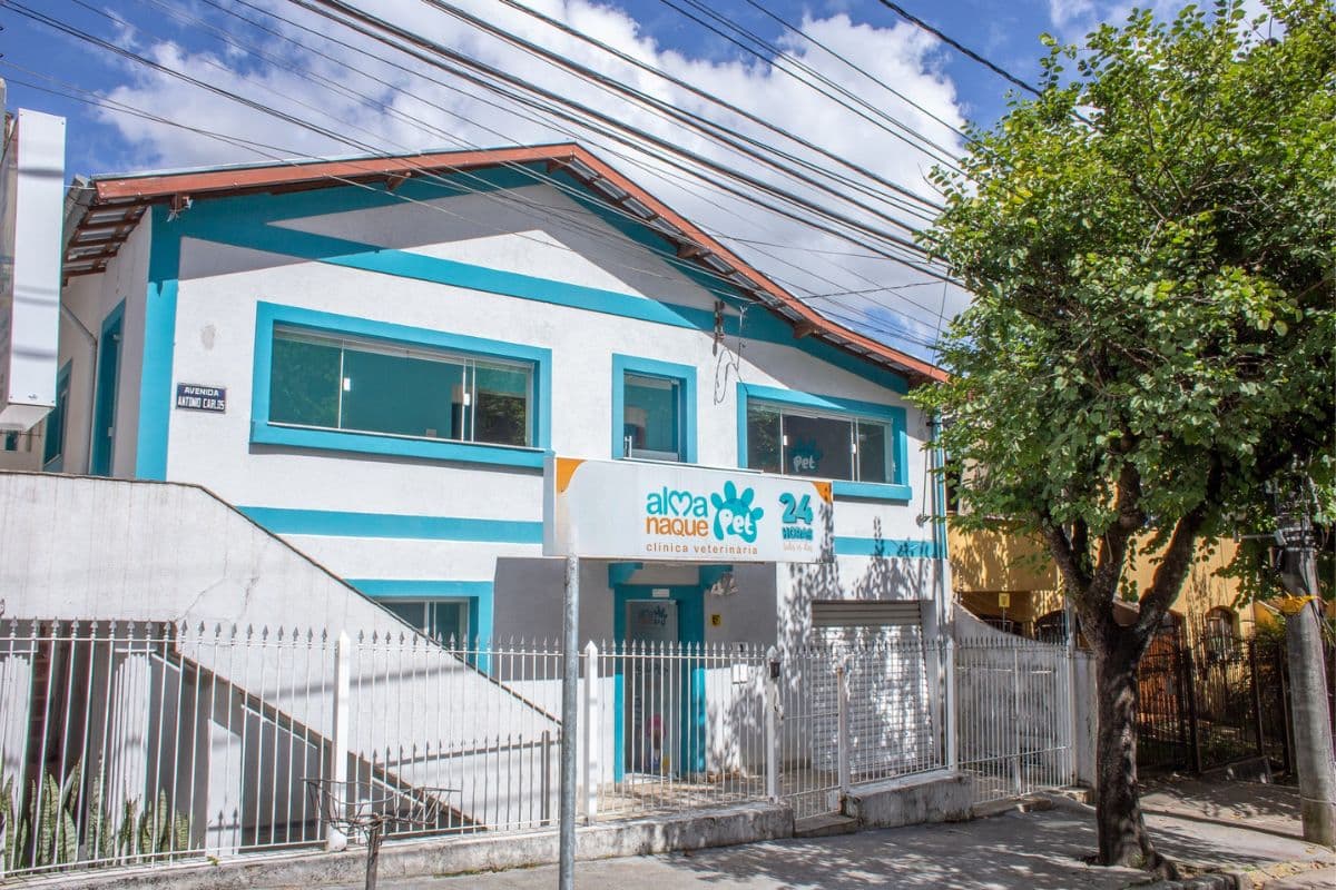 Emergência veterinária em Poços de Caldas: quando e onde buscar atendimento para seu pet?
