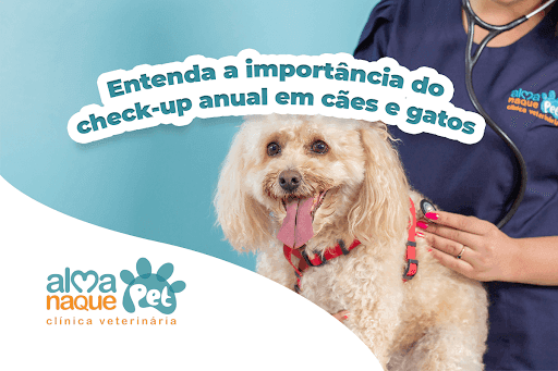 Entenda a importância do check-up anual em cães e gatos