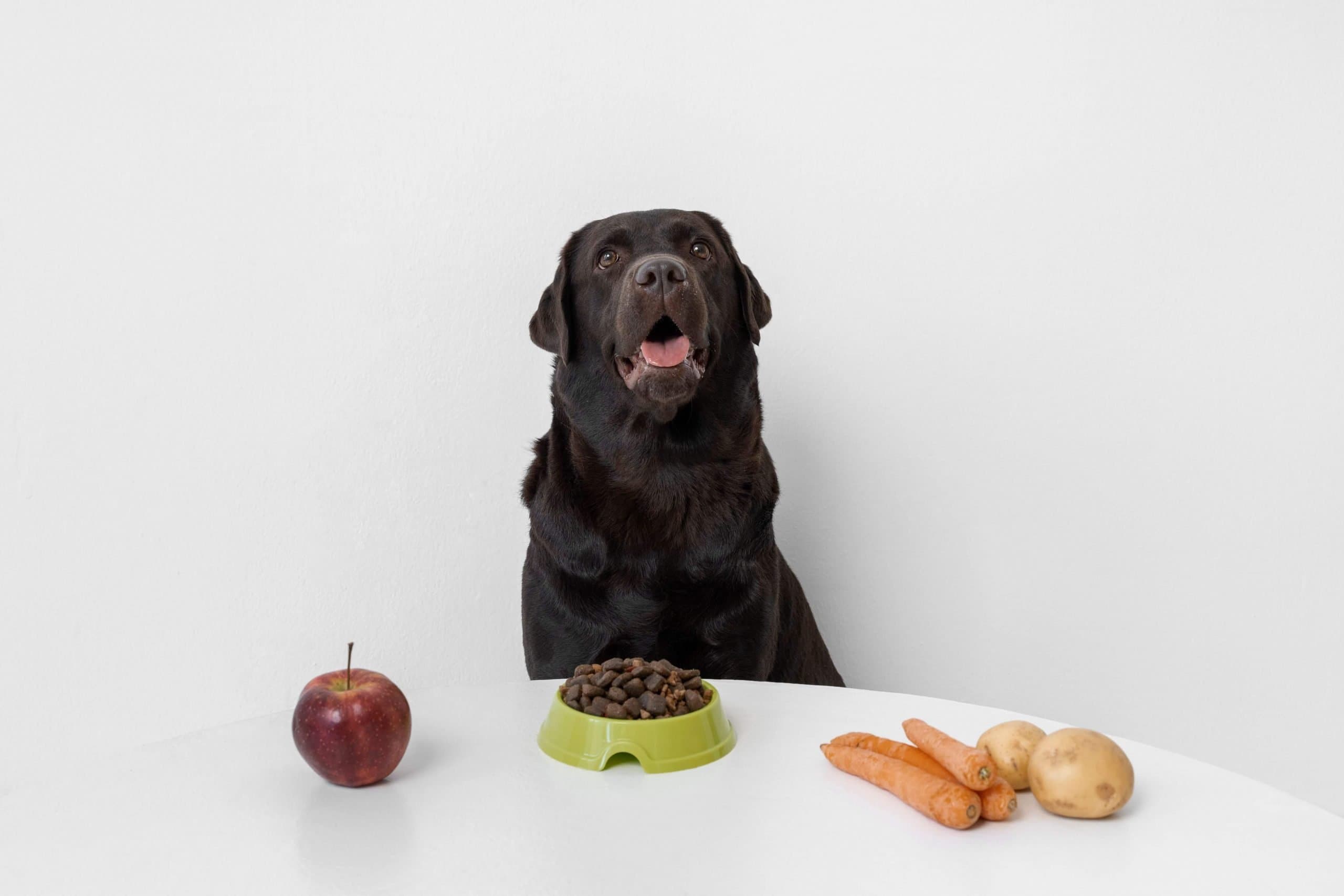 Confira lista de alimentos humanos liberados para cães e gatos